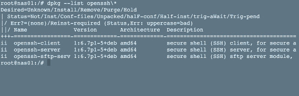 ssh version 1 vulnerabilities